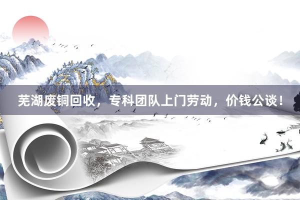 芜湖废铜回收，专科团队上门劳动，价钱公谈！
