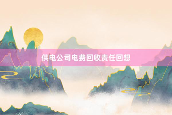 供电公司电费回收责任回想