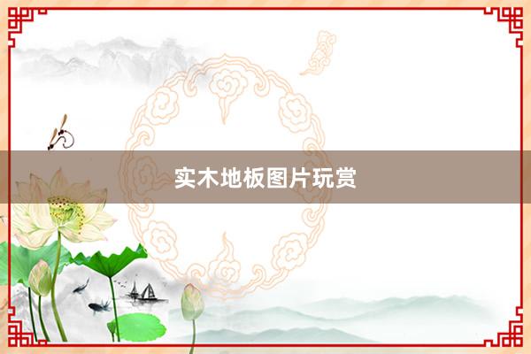 实木地板图片玩赏