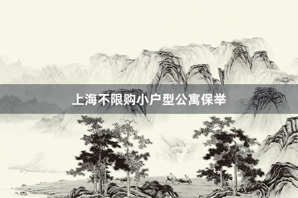 上海不限购小户型公寓保举