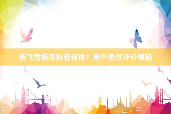 新飞雪柜质料若何样？用户果然评价揭秘
