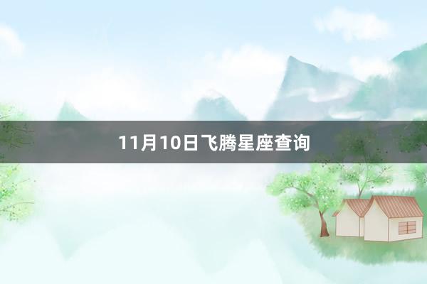 11月10日飞腾星座查询